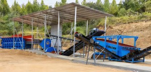 Wood Chips of Paper Pulp Production Line