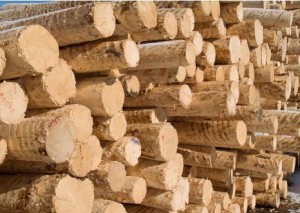 debarking logs