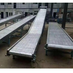 Chain Conveyor